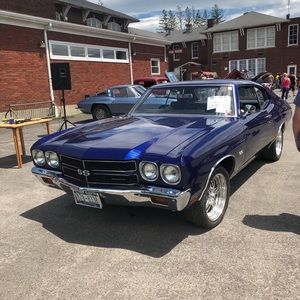 Meet your Posher, Riley